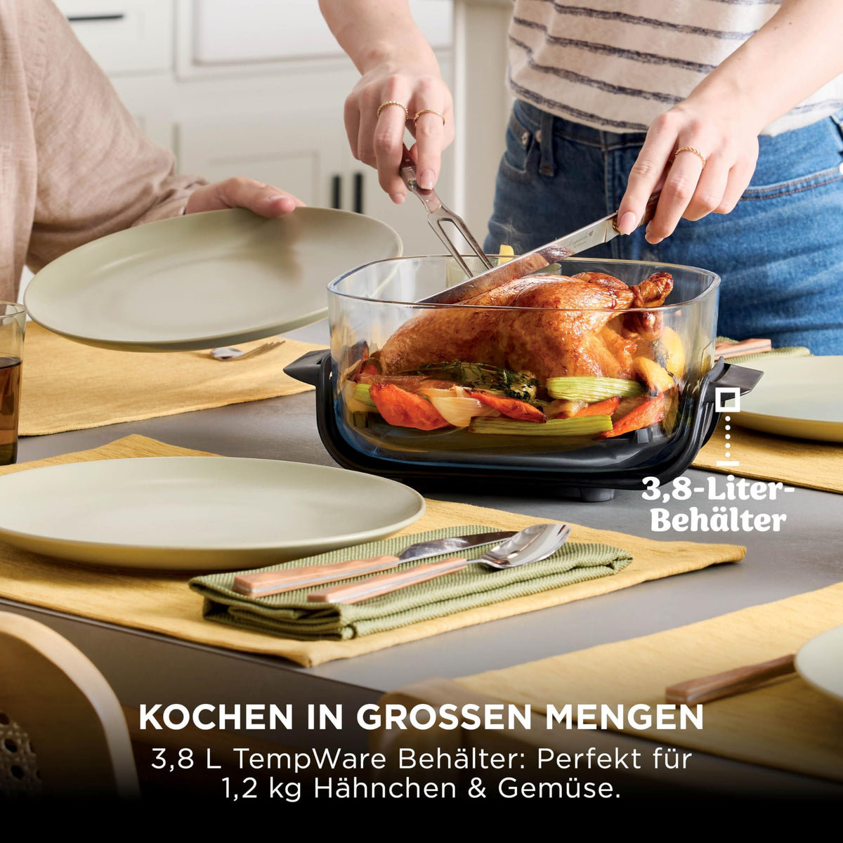 Ninja CRISPi tragbare Heißluftfritteuse, 3,8 l, 4-in-1, 1700 W, Stein